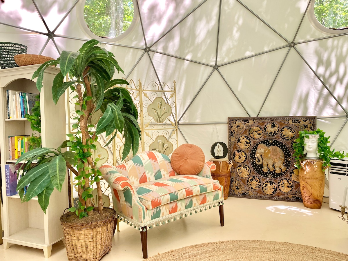A cozy sitting area is featured within the geo dome, showcasing a patterned sofa adorned with a decorative pillow. A tall indoor plant and a stylish bookshelf occupy the space. A tapestry and a small side table add character to the inviting atmosphere.