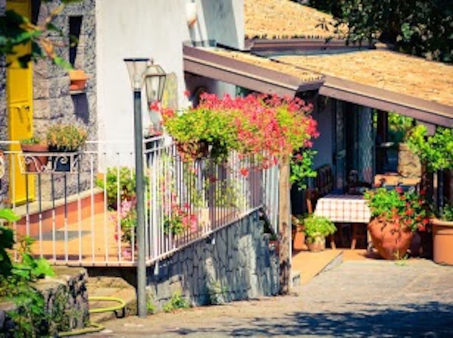 Ristorante - Restaurant area