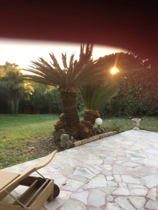 Jardin