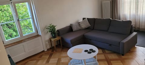 modest, tidy and central 1-2 bedroom apartment