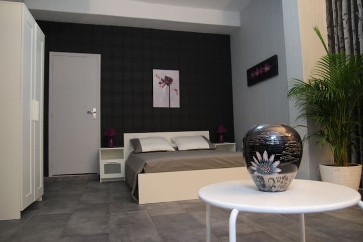 République II - 46m2 dans Carcassonne centre