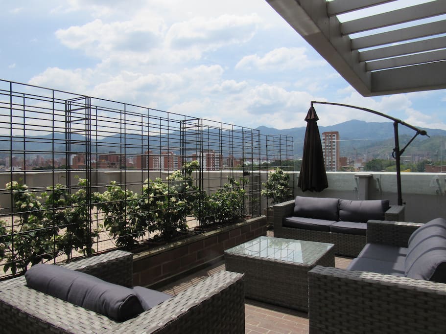Open terrace area on other side of garden