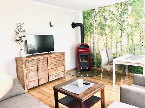 new apartment with fireplace and 2 bedrooms