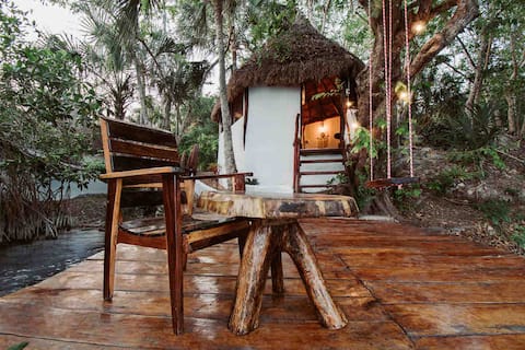Mangrove cabin overlooking the lagoon