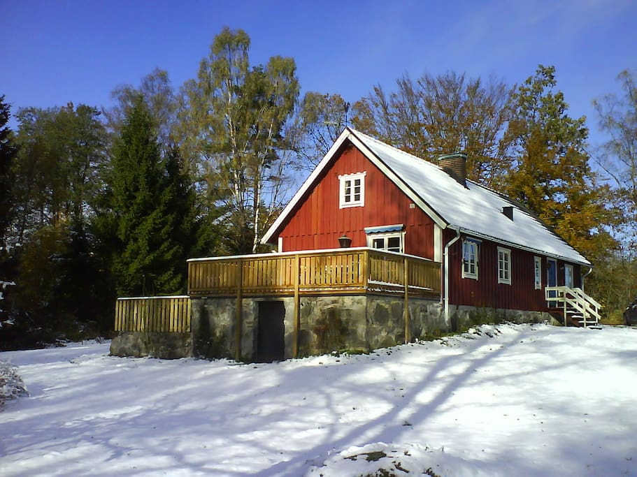 The house in winter