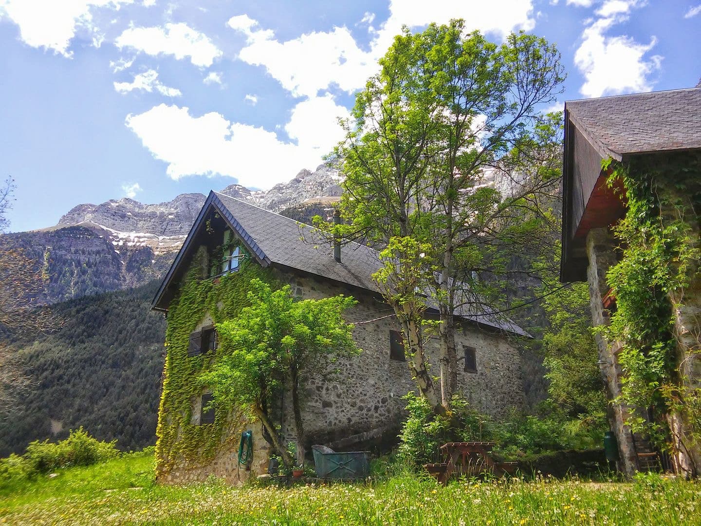 Apartamentos en Bielsa y más | cozycozy