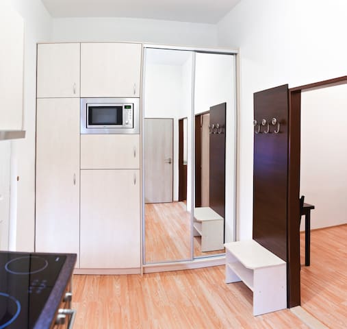 Cosy flat in the centre of Brno