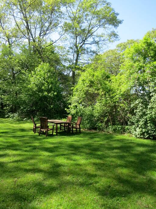 Lots of greenery in the yard