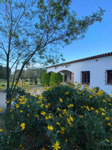 Casa Bali Costa Brava gallery image 4