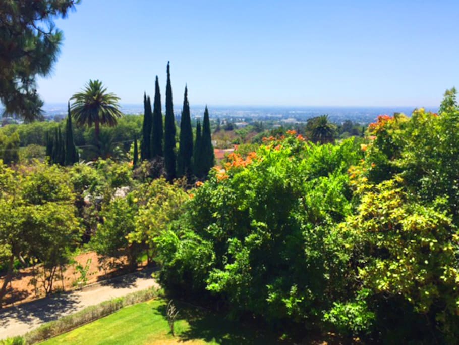 Private Grounds With Lush Rich Landscape