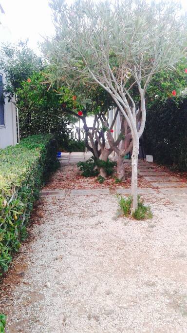 Giardino