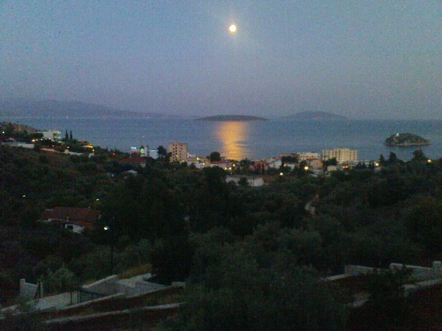 Stunning view from the appartment.