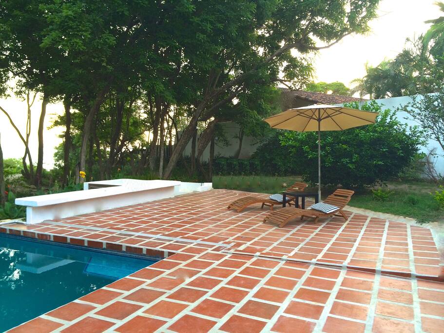Pool & Patio Area