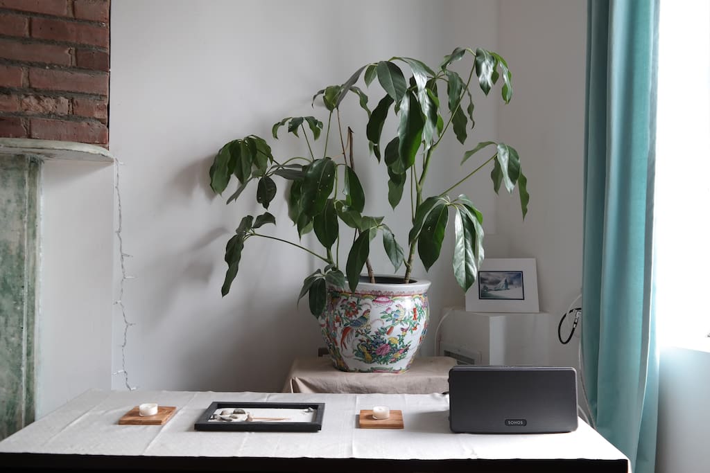 Delilah, our plant, and zen sand garden