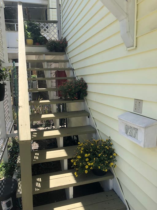 Steps to apartment