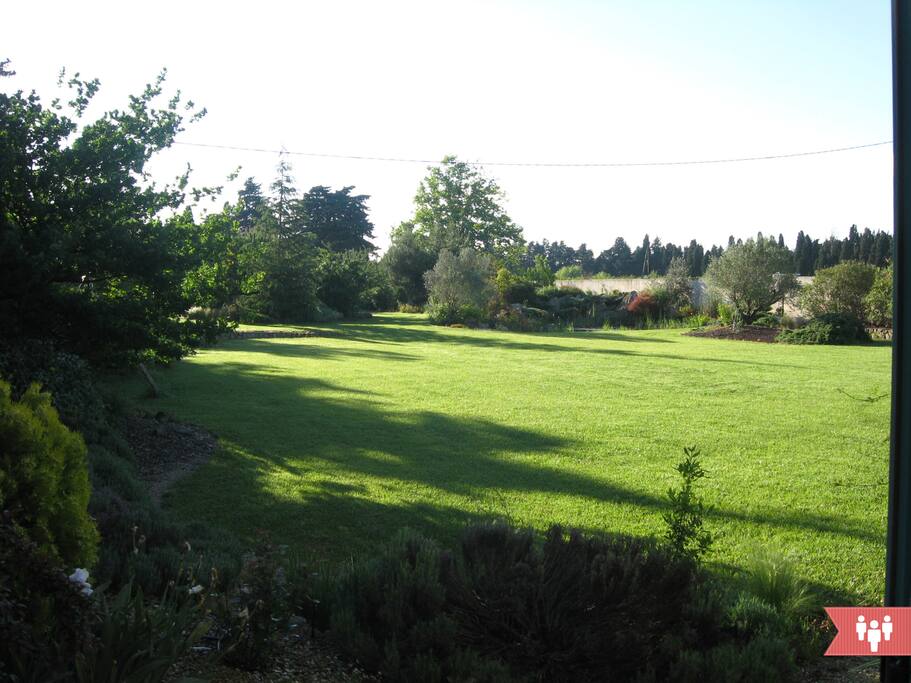 soleil se levant sur le jardin