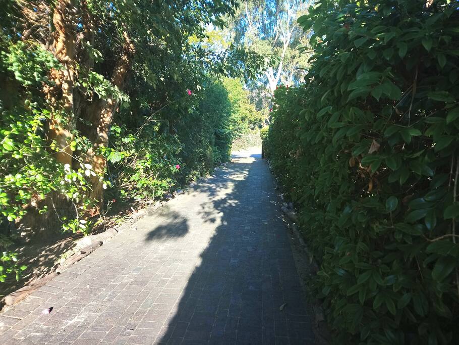 Property Entrance Drive Way