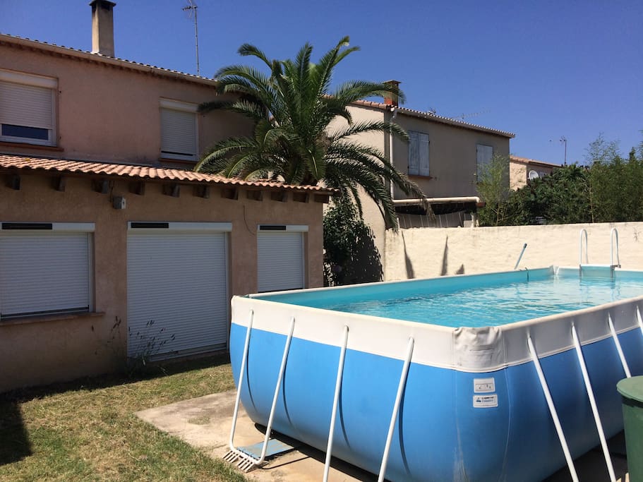 Le palmier ,la piscine