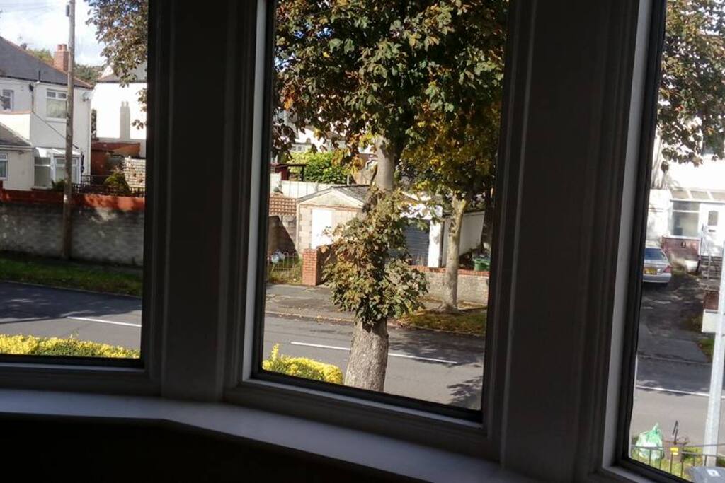 view from guest's bedroom