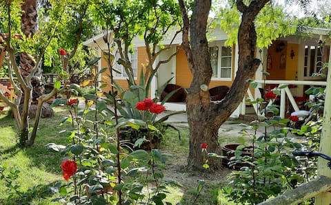 Top Airbnb: "Valle de Apalta" private house - Oro Tinto in Santa Cruz
