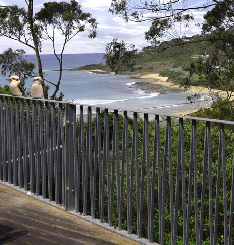 Wye Knot. A beautiful home. A magnificent location