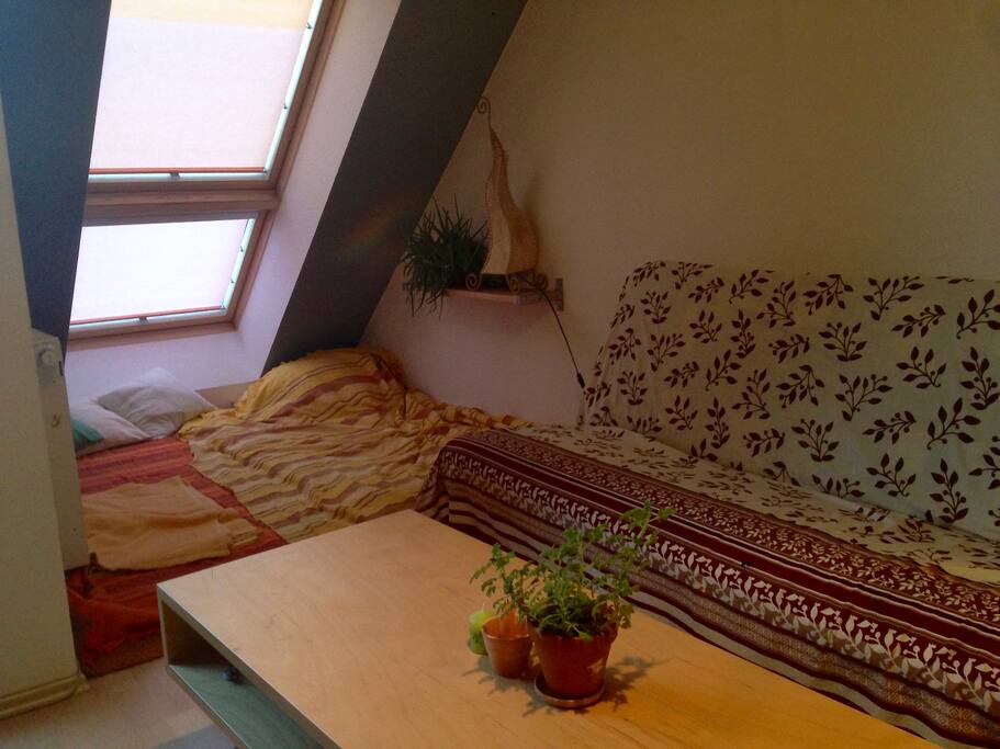 the room- you can sleep there in the corner or on the couch