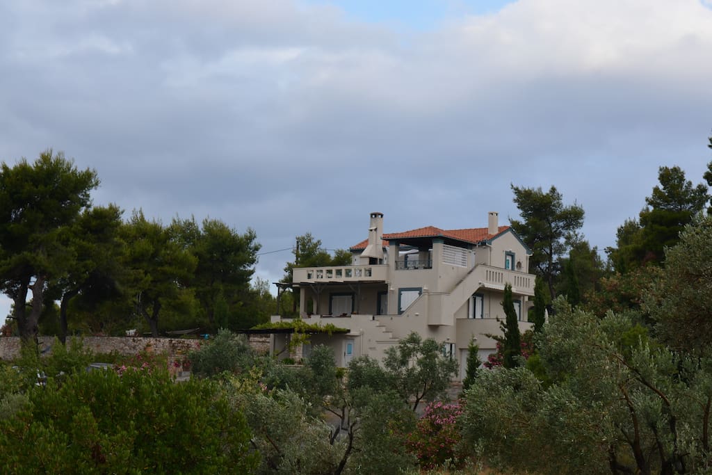 Villa Flora