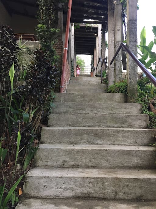 Stair to cottage 2