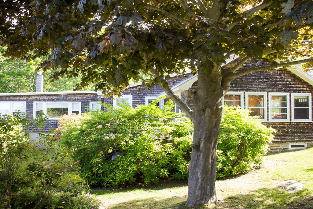 Back of the House
