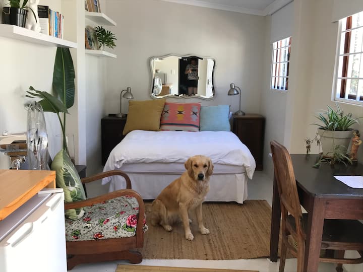 Musgrave Vacation Rentals & Homes Musgrave, Berea, South Africa Airbnb