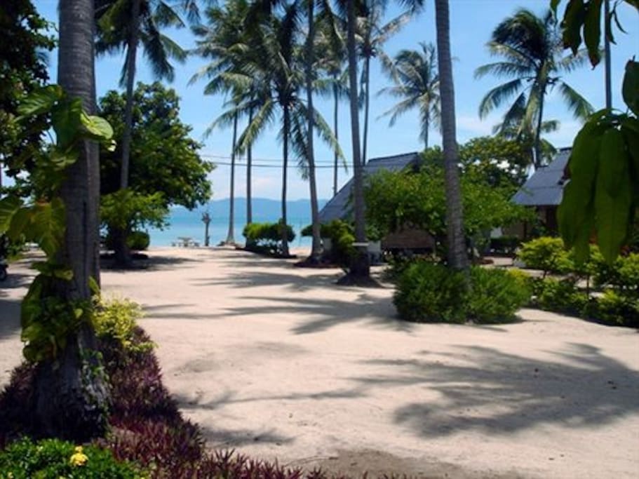 Beach Garden