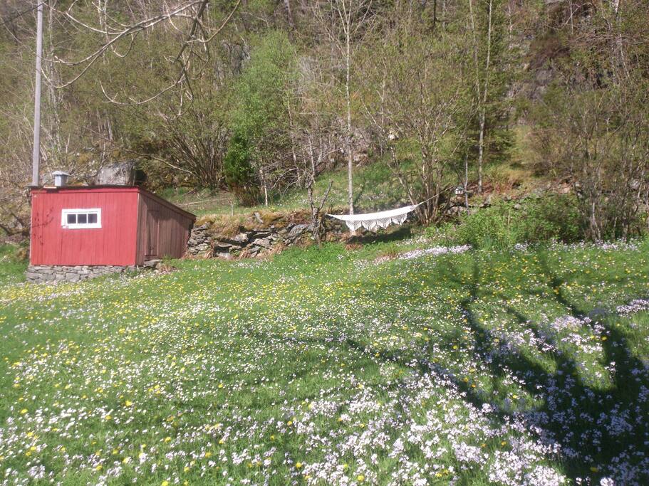 Det gamle hønsehuset