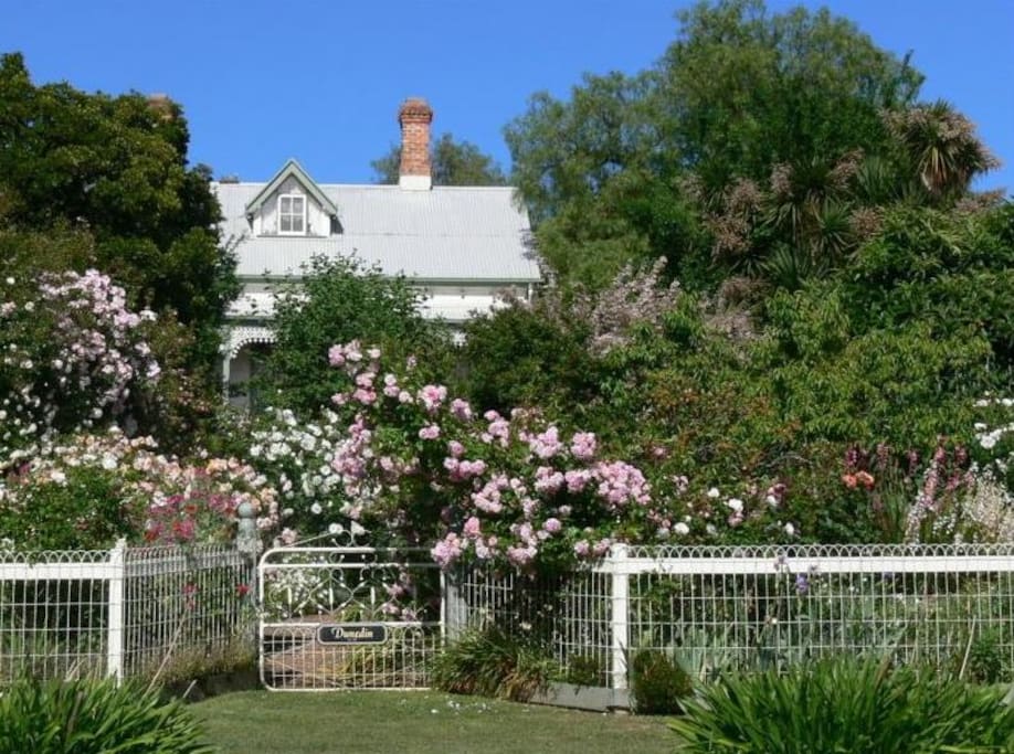Dunedin, viewed down the rose-lined garden path