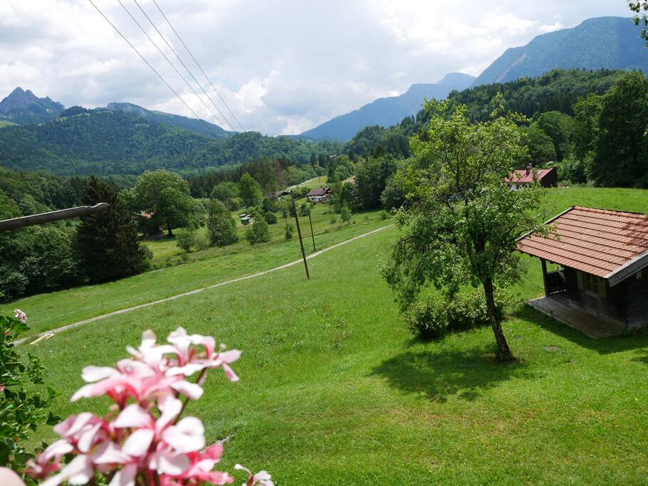 Der Ausblick