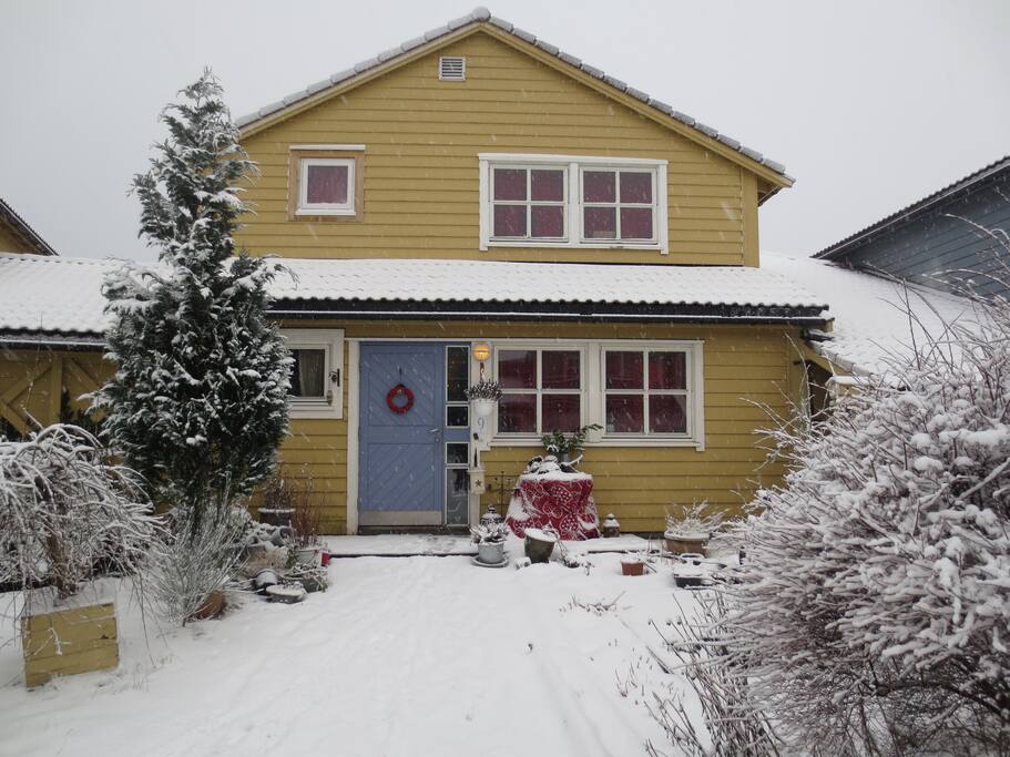 Winterhome