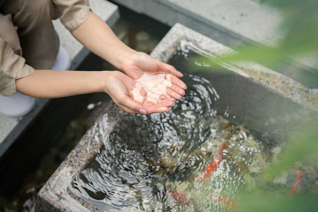 涌泉鱼池
