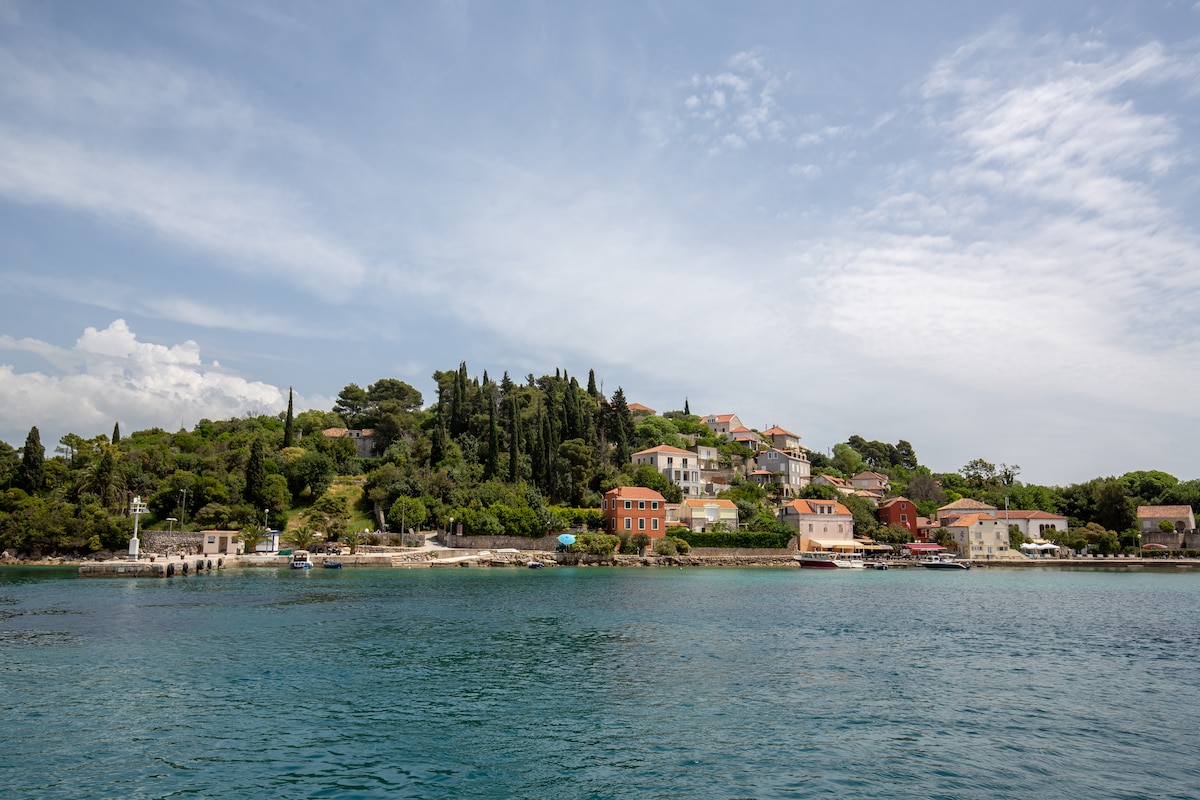 The shoreline of Koločep is portrayed, featuring a tranquil setting with lush greenery and a variety of Mediterranean houses. Several boats are anchored along the water, creating a serene atmosphere that reflects the peaceful environment of the island.
