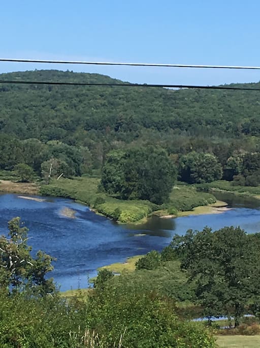 View from the deck