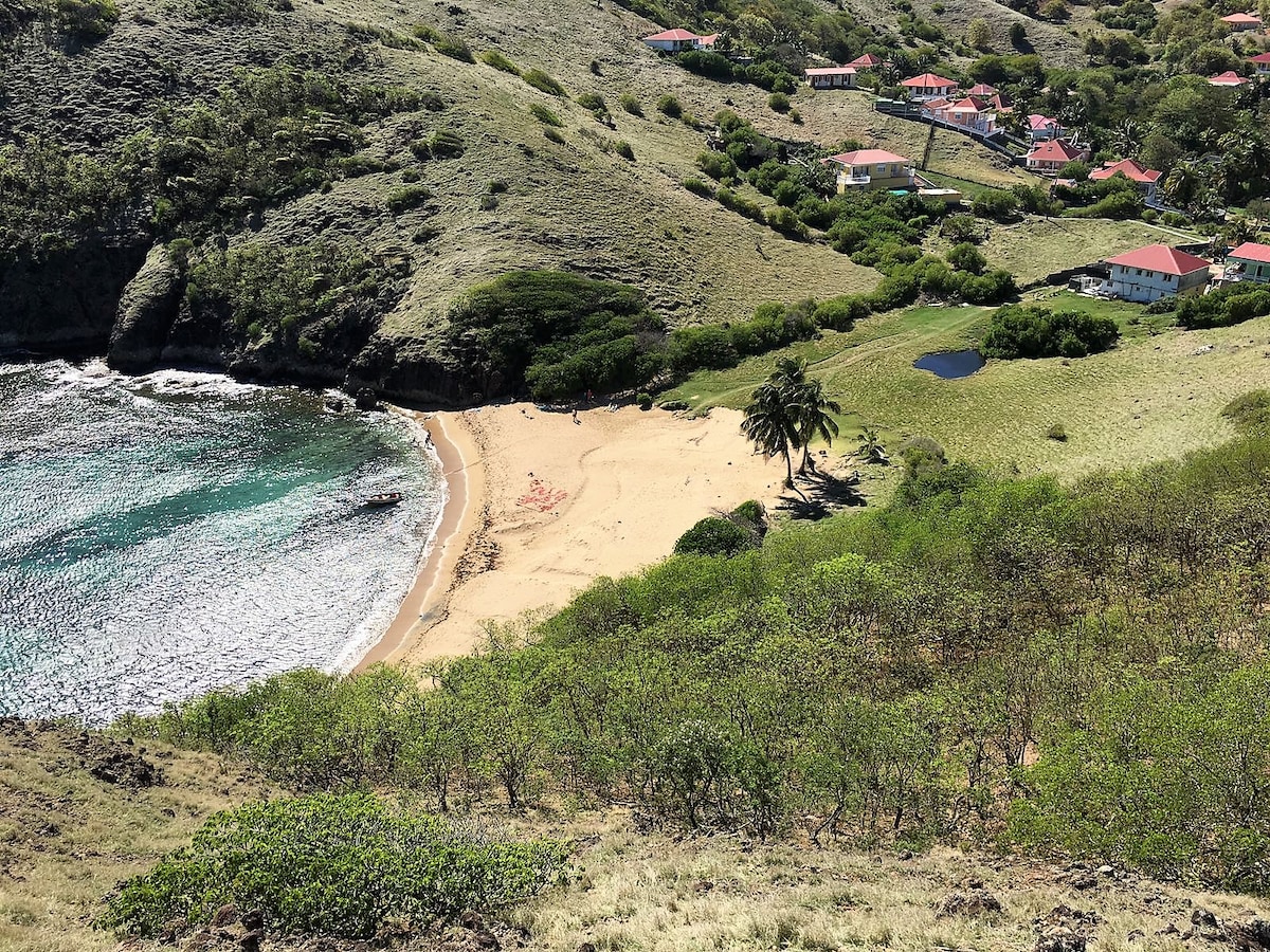 A serene beach cove is nestled against a backdrop of gentle hills, framed by lush greenery. Sandy shores meet the turquoise water, while a few palm trees provide shade. The surrounding landscape includes scattered residences with red roofs, suggesting a tranquil retreat.