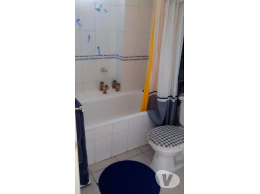 baño con ducha y tina, agua caliente