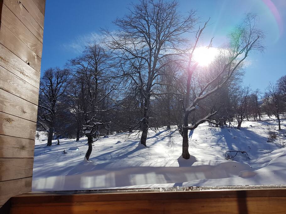 "a balcony with an amazing view that would make you feel like you're in a secluded cabin deep in the woods, even though you're actually in a modern hotel apartment"