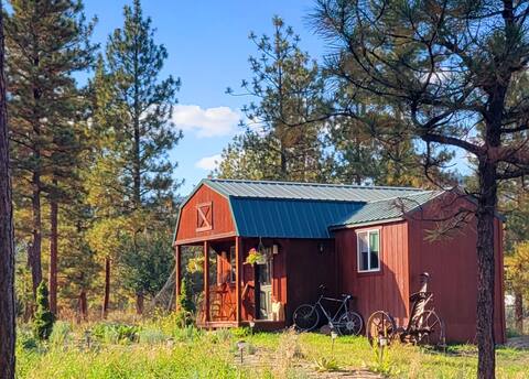 Cozy in the Pines Getaway 
Cabin in
Hot Springs