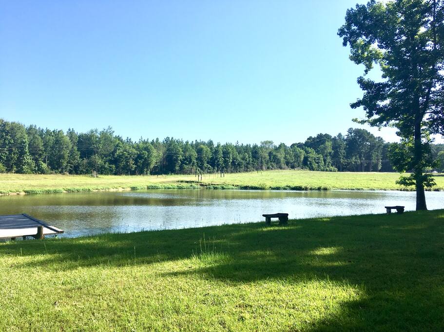 View of the pond and pier.