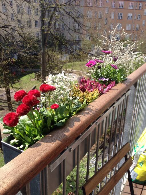 Balcony