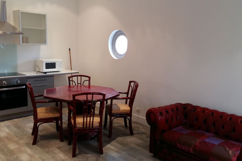 salon/ salle à manger avec coin cuisine équipée et TV