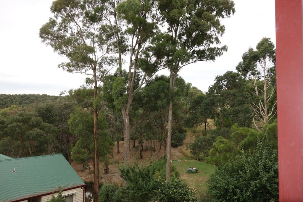 Wombat State Forest, easterly view