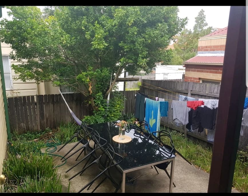 Back garden (1)