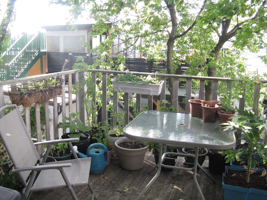 Terrasse (available in summer time)