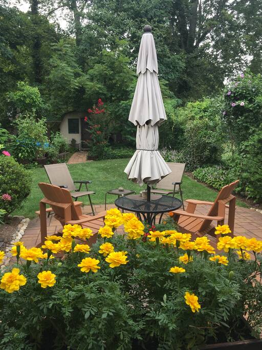 Backyard garden patio