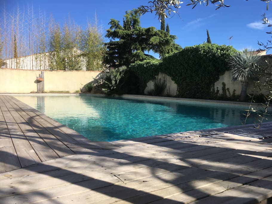 Piscine à partager avec les propriétaires